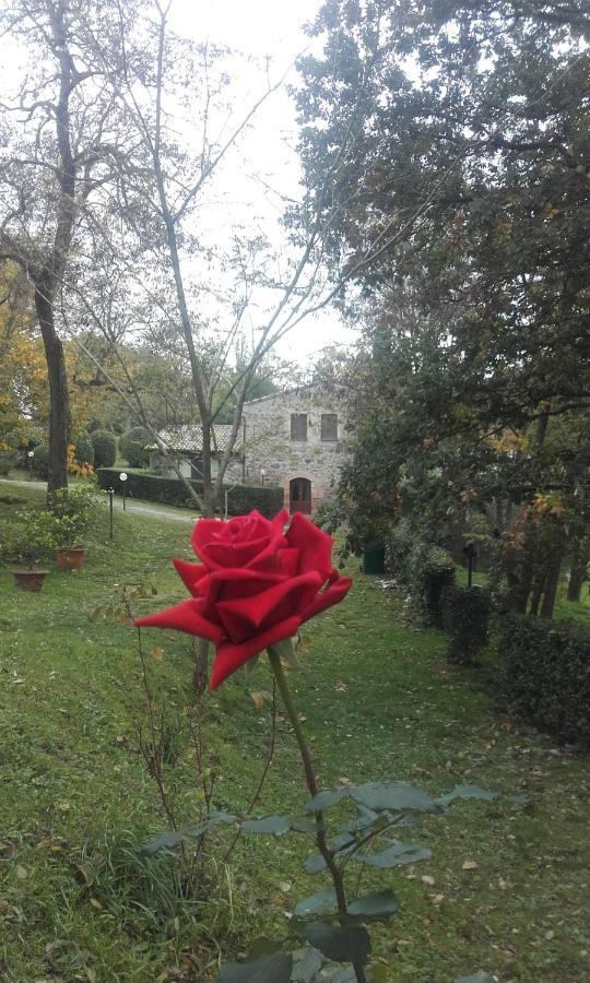 Agriturismo Il Cornalino Castel Viscardo Экстерьер фото