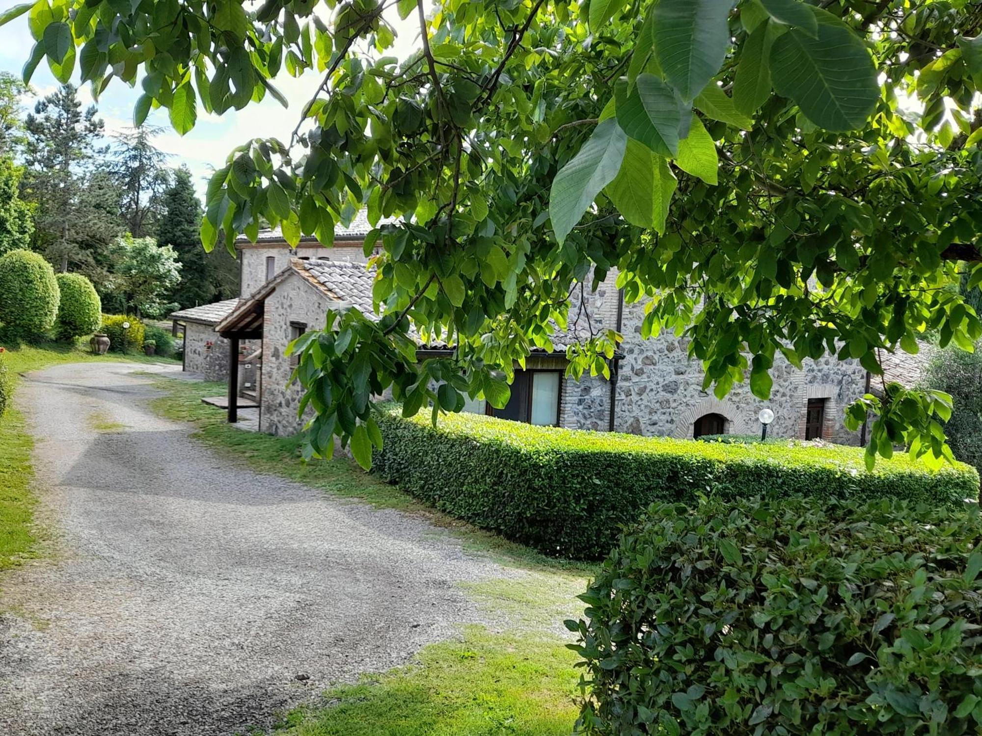Agriturismo Il Cornalino Castel Viscardo Экстерьер фото