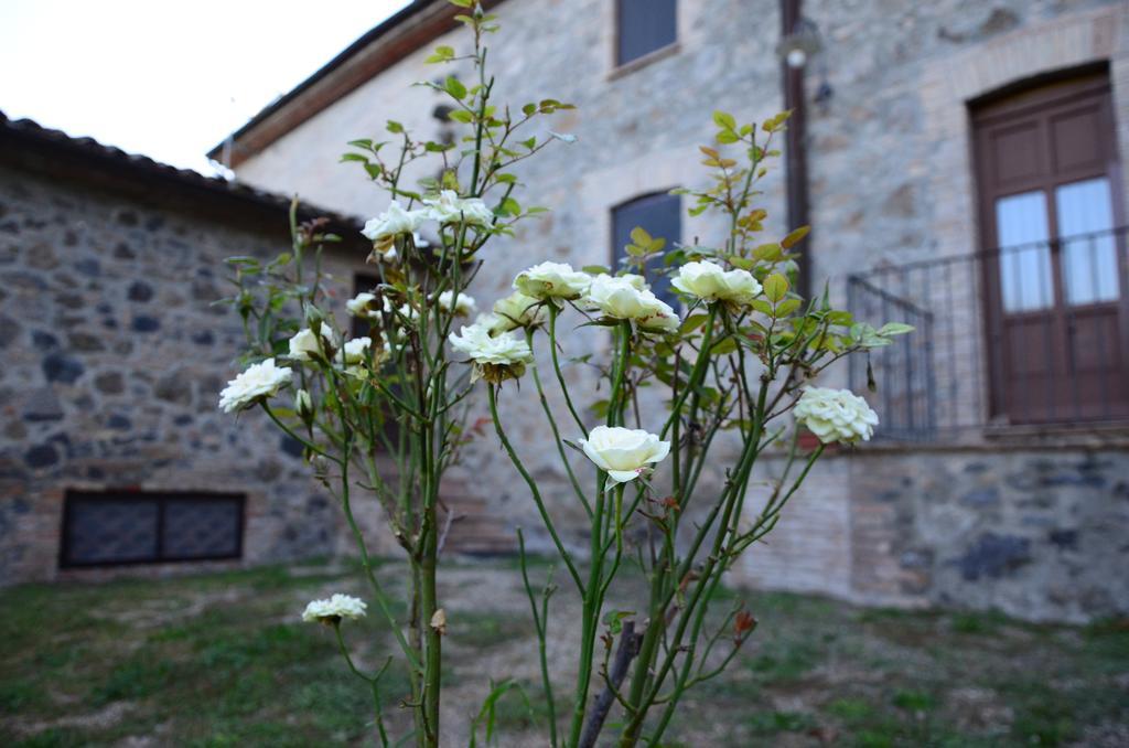 Agriturismo Il Cornalino Castel Viscardo Экстерьер фото