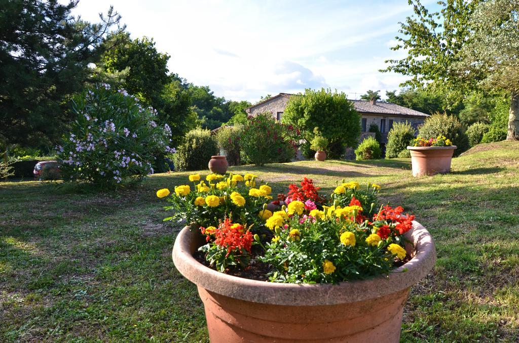 Agriturismo Il Cornalino Castel Viscardo Экстерьер фото